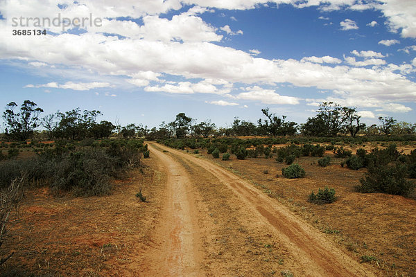 Staubige Sandpiste durch das Buschland Süd Australiens  Himmel mit Wolkenstimmung