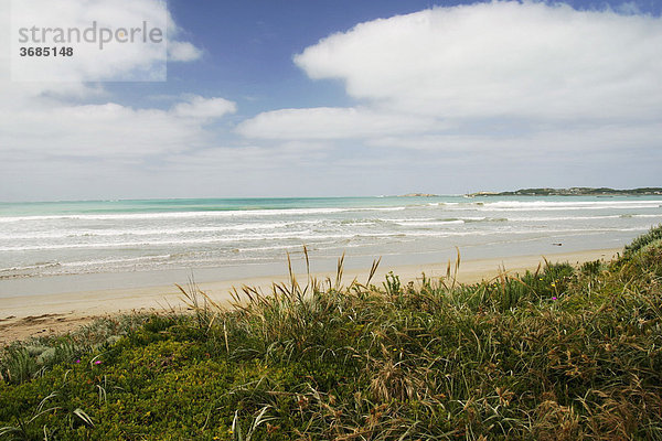Küste in Süd Australien  Dünen mit Dünenbewuchs. Wellen rollen an den Strand  Wolkenstimmung