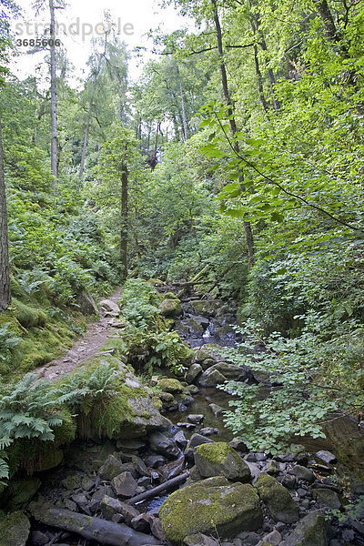 Dalegarth for Booth  GBR  20.08.2005 - Kleiner Bach in der Gegend von Eskdale im Lake District.