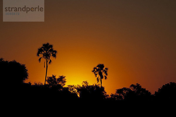 Sonnenuntergang im suedlichen Afrika