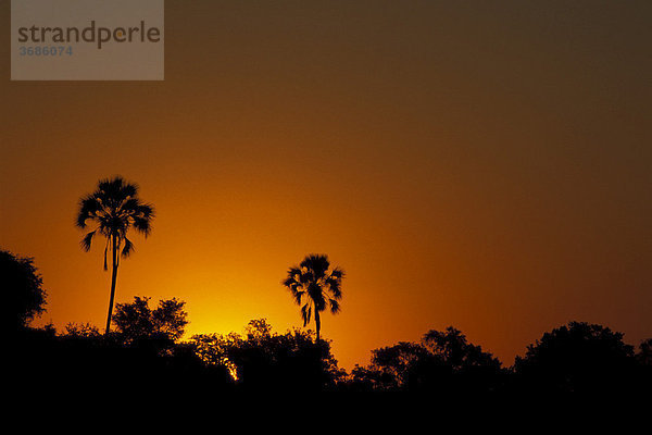 Sonnenuntergang Botswana