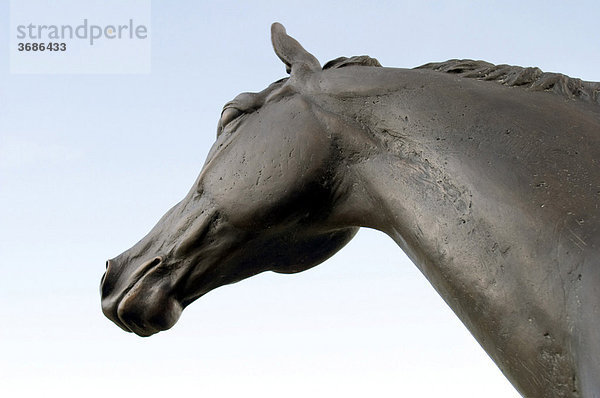 Pferdekopf aus Bronze auf Schloss Wickrath