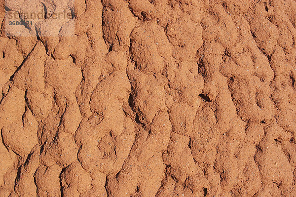 Detail Termiten Huegel Karijini National Park Pilbara Region Westaustralien WA