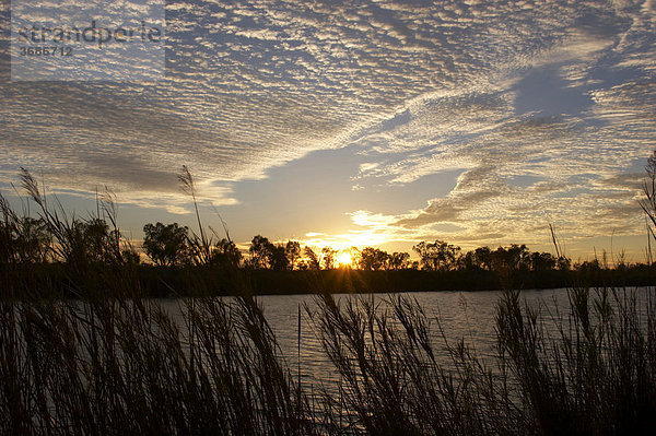 Sonnenaufgang am Deep Reach Pool im Millstream Chichester National Park Pilbara Region Westaustralien WA