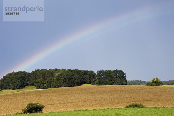 Regenbogen über Weizenfeld Bayern Deutschland