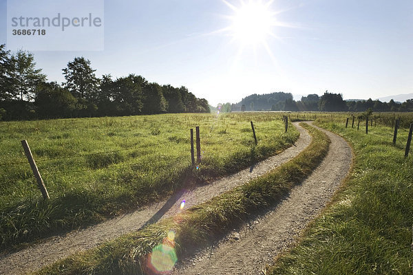 Feldweg Weg schlängelt sich durch Landschaft Oberbayern Deutschland