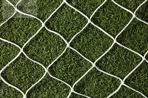Ein Netz auf Rasen  Nahaufnahme