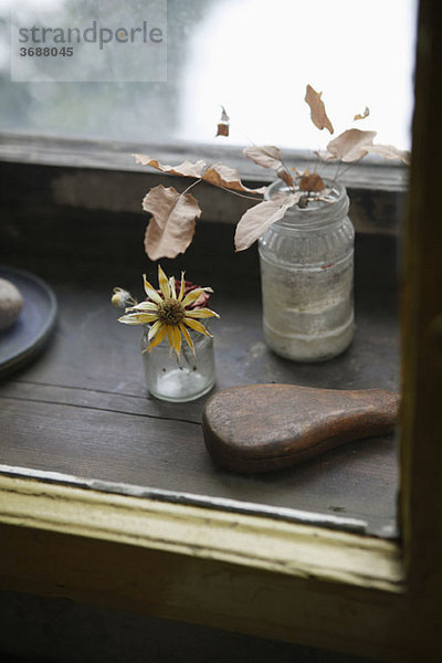 Detail einer getrockneten Blume und Blätter in Gläsern auf einer Fensterbank
