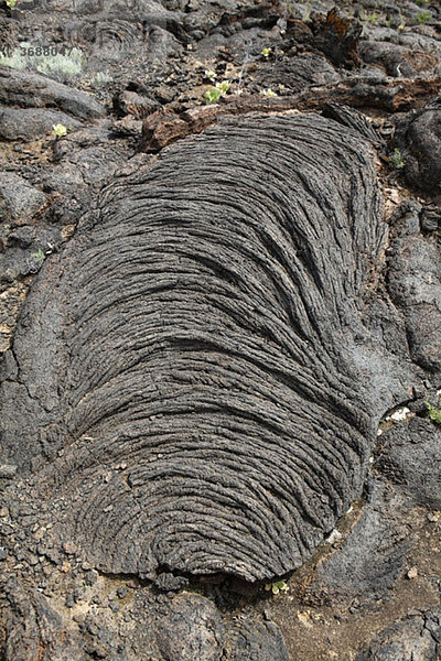 Detail der Lava