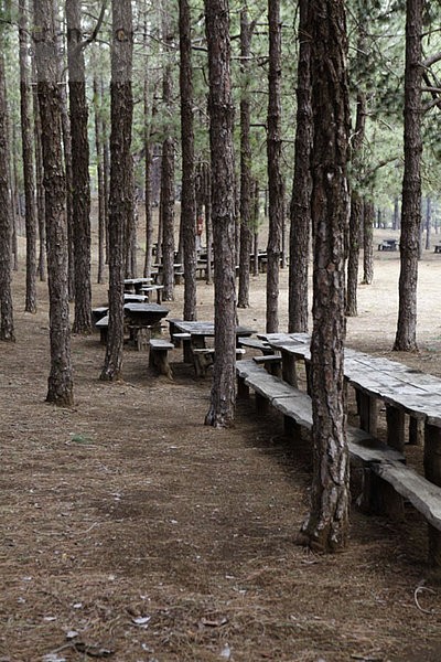 Picknicktische aus Holz im Wald