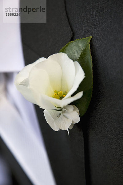 Detail einer weißen Blume boutonniere auf einem Jackenaufschlag