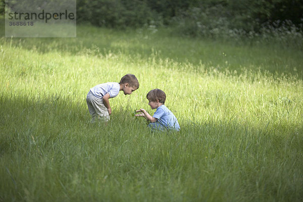 Zwei kleine Jungen auf einem Feld