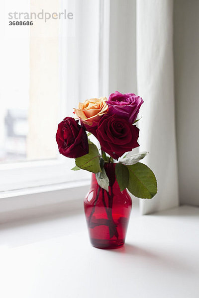 Rosen in einer Vase auf einer Fensterbank