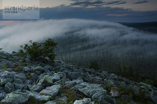 Wolkenstimmung am Lusengipfel  Nationalpark Bayrischer Wald  Bayern  Deutschland  Europa
