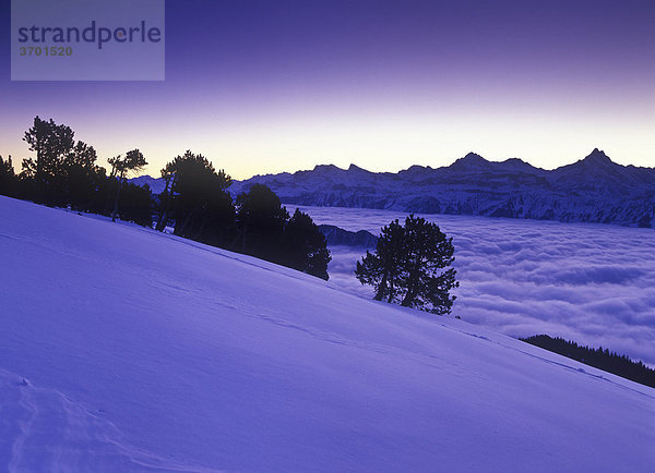Blick vom Niederhorn auf die 4Tausender im Winter vor Sonnenaufgang  Talnebel  Bern  Schweiz