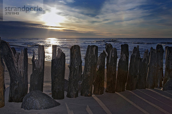 Buhne am Strand in Westerland  Insel Sylt  Nordsee  Schleswig-Holstein  Deutschland  Europa