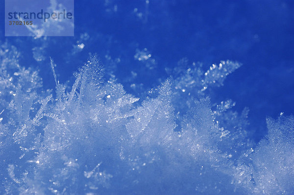 Eiskristalle Schnee Detail