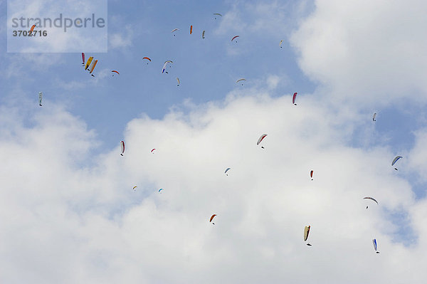 Paragliding  Paraglider  Gleitschirm-Flieger  Gleitschirmfliegen  Istrien  Kroatien  Europa