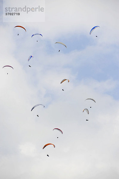 Paragliding  Paraglider  Gleitschirm-Flieger  Gleitschirmfliegen  Istrien  Kroatien  Europa