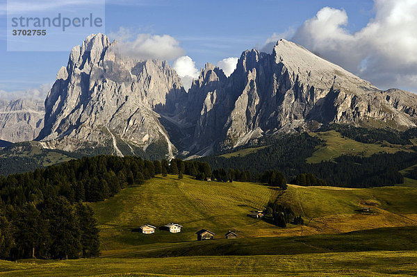 Blick über die Seiser Alm auf den Langkofel und Plattkofel  Dolomiten  Südtirol  Italien  Europa