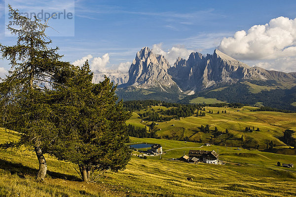 Blick über die Seiser Alm auf Langkofel und Plattkofel  Dolomiten  Südtirol  Italien  Europa