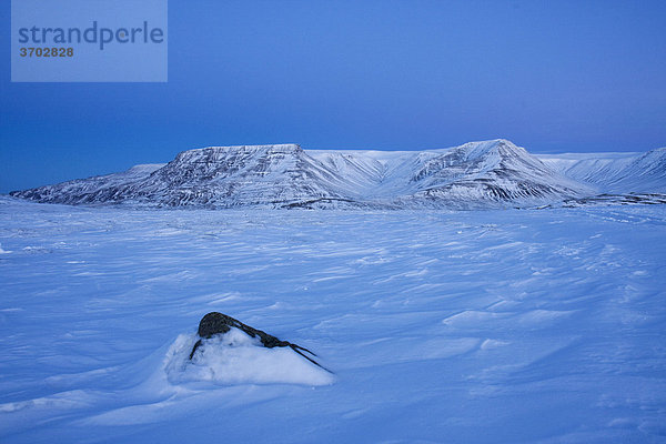 Tafelberge im Winter in Island  Europa