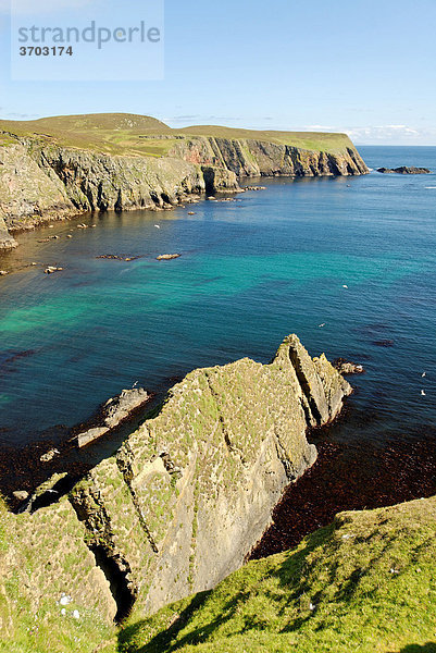 Küste von Fair Isle  Shetlands  Schottland  Großbritannien  Europa
