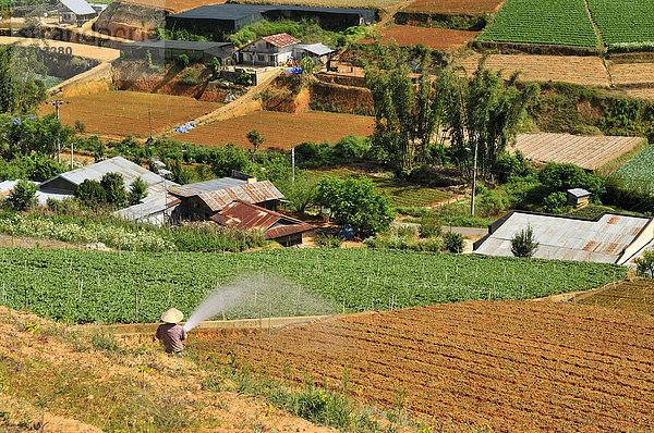 Bewässerung  Farmer bei der Feldarbeit  Dalat  Zentrales Hochland  Vietnam  Asien