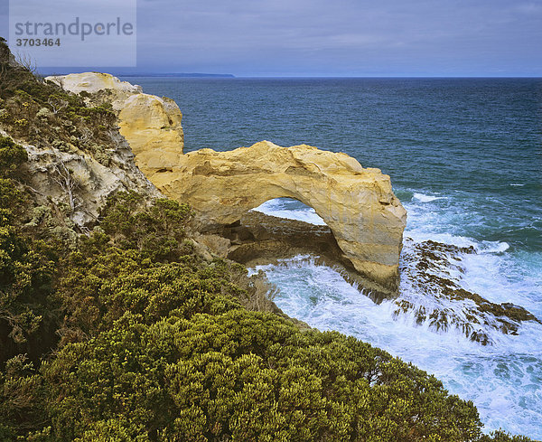 Felsbogen genannt The Arch  Küste an der Great Ocean Road  Port Campbell  Victoria  Australien