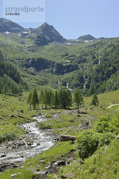 Talschluss bei der Putzentalalm  Naturpark Sölktäler  Schladminger Tauern  Steiermark  Österreich  Europa