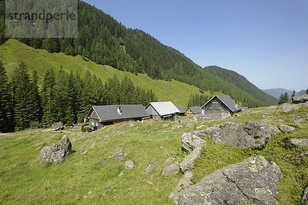 Tuchmoaralm  Naturpark Sölktäler  Schladminger Tauern  Steiermark  Österreich  Europa