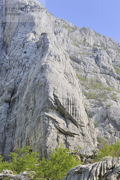 Felswände der Velika Paklenica im Nationalpark Paklenica  Kroatien  Europa