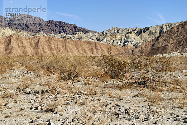 Wüstenlandschaft vor den Mecca Hills  südöstlich von Indio  Südkalifornien  USA