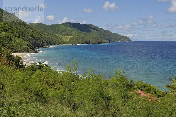 Carambola Beach  Nordwestküste  Insel St. Croix  US Virgin Islands  USA