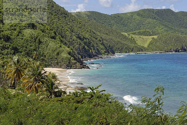 Carambola Beach an den Abhängen des tropischen Regenwaldes  Nordwestküste  Insel St. Croix  US Virgin Islands  USA