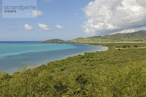 Küstenformation  Nordküste  Insel St. Croix  US Virgin Islands  USA