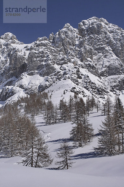 Skispur am Dachstein  Ramsau  Österreich  Europa