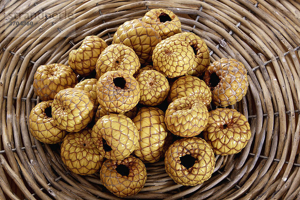 Rumbia  getrocknete Schlangenhautfrucht der Salakpalme (Salacca zalacca) in einer Weidenschale