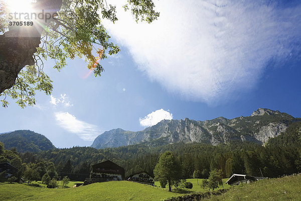 Reiteralpe am Hintersee  Ramsau  Berchtesgadenener Alpen  Oberbayern  Bayern  Deutschland  Europa