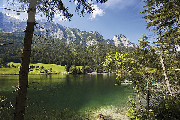 Reiteralpe am Hintersee  Ramsau  Berchtesgadenener Alpen  Oberbayern  Bayern  Deutschland  Europa