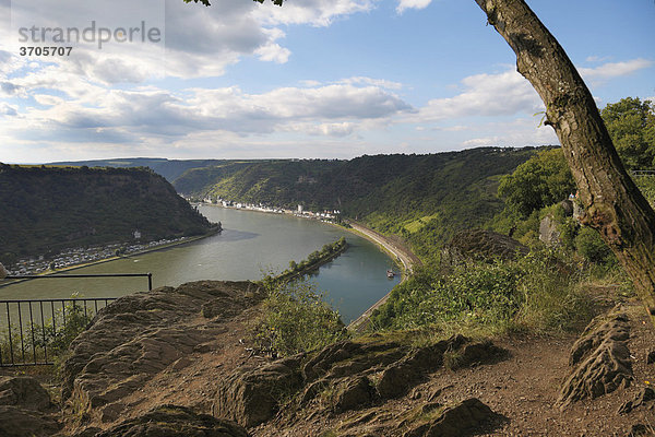 Blick vom Loreley-Felsen und das Mittelrheintal bei St. Goarshausen und die Burg Katz  Rheinland-Pfalz  Deutschland  Europa