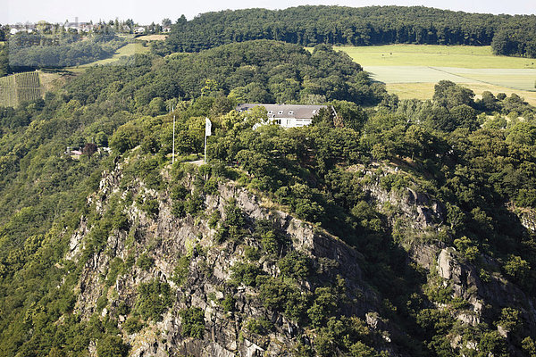 Loreleyfelsen am Rhein  Loreley  Rheinland-Pfalz  Deutschland  Europa