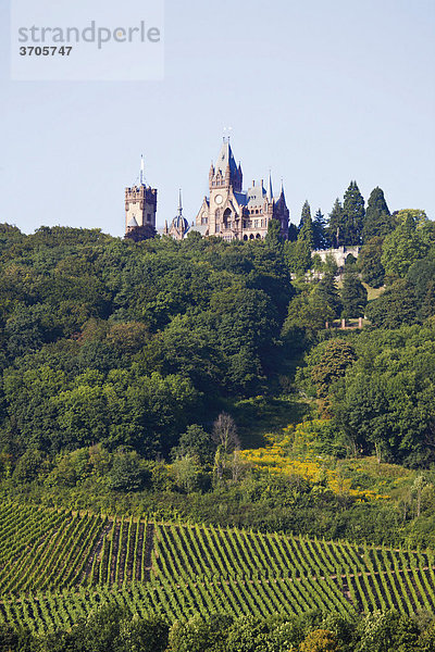 Schloss Drachenburg am Drachenfels  Siebengebirge  bei Königswinter  Nordrhein-Westfalen  Deutschland  Europa