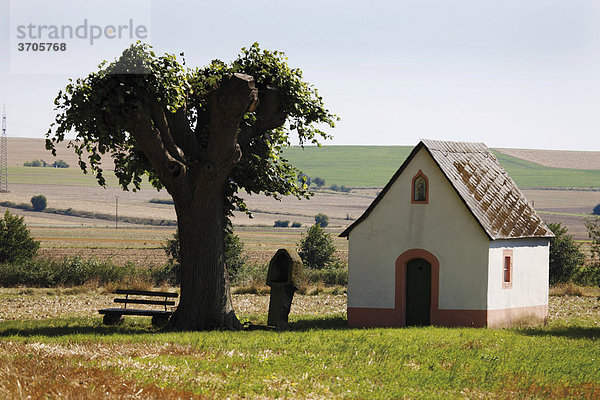 Kleine Marienkapelle auf einem Feld zwischen Mendig und Ochtendung  Landkreis Mayen-Koblenz  Rheinland-Pfalz  Deutschland  Europa