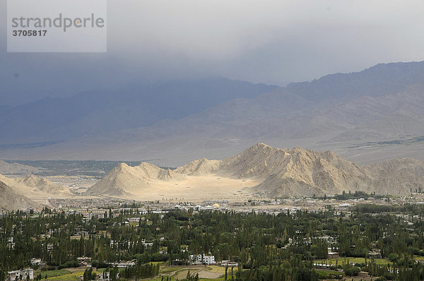 Regen in der Gebirgswüste und Oase Leh  Ladakh  Indien  Asien