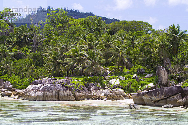 Granitfelsen und Kokospalmen  Insel L'Islette  Mahe  Seychellen  Afrika  Indischer Ozean