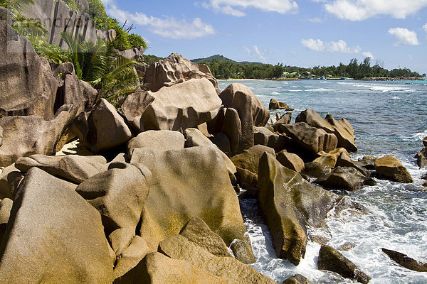 Granitfelsen am Meer  Insel La Digue  Seychellen  Afrika  Indischer Ozean