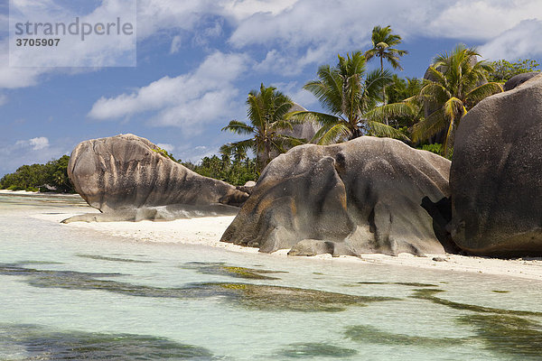 Granitfelsen und Kokospalmen (Cocos nucifera) auf der Insel La Digue  Seychellen  Afrika  Indischer Ozean