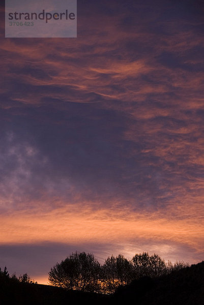 Sonnenuntergang über Wellington  Neuseeland