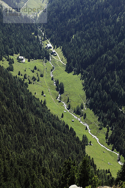 Valley floor Viggar-Niederleger  Meissner Haus  Tux Alps  Tyrol  Austria  Europe